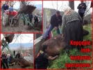 Kep�eyle inek kurtarma operasyonu