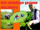��te vatanda��n ge�inme m�cadelesi