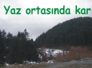 Yaz ortas�nda kar