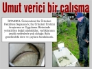 Umut verici bir �al��ma