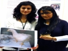 Tavuk�ulukta ����r a�acak proje