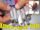 Keneye ya�mur freni
