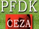 PFDK ceza ya�d�rd�