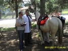 Atlar muayene edildi