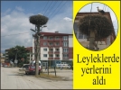 Leyleklerde yerlerini ald�