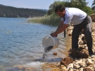 Bal�klar Abant’ta yerini ald�