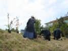 Gerede ye�illeniyor