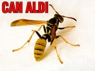 Ar� can ald�