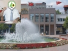 BELED�YEDEK� DOLMACI K�M?
