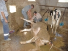 ��kembesi bo�al�nca hayata d�nd�