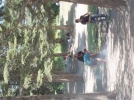 Ate�siz piknik