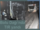 D-100 de K�p�kl� Yang�n