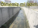 �lmemiz mi laz�m 