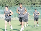 Toros kaplanlar�n�n izini bitti