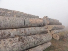 Sat�l�k tomruk var