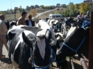 Gerede i�i s�k� tutuyor