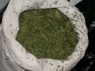 130 gram esrar ele ge�irildi 