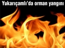 Yukar��aml�’da orman yang�n�