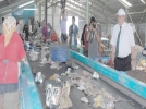 Bizi k�skan�yorlar