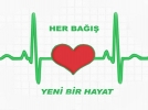 122 ki�iye hayat verdiler