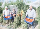 �ift�inin destek beklentisi