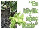 F�nd���m�z� vermeyiz