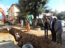 Ar� gibi �al���yor