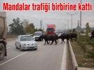 Mandalar trafi�i birbirine katt�