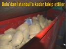 Operasyonda 250 kilo esrar ��kt�