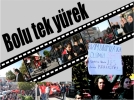 Bolu tek y�rek