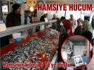 HAMS�YE H�CUM
