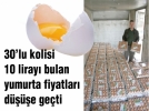 Yumurta d��t�