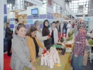BEH-TER’e ziyaret�i yo�unlu�u