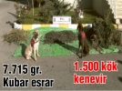 YEN��A�ADA ESRAR OPERASYONU