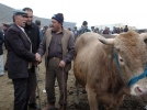 Mudurnu kurban sat��lar�ndan memnun de�il