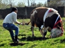 Harbi bo�a