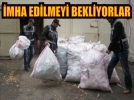 �mha edilmeyi bekliyorlar