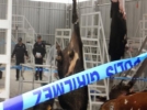 Kesti�i kurban �l�m�ne neden oldu