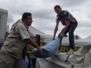 Hububat tohumlar� da��t�ld�
