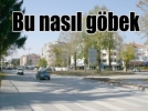 Bu nas�l g�bek