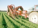 Desteklemede son g�nler