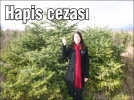 Hapis cezas�