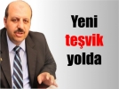 Yeni te�vik yolda