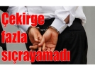 �ekirge fazla s��rayamad�