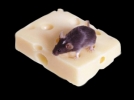 Son anda k�z�n� kurtard�  