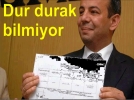Tanju dur durak bilmiyor