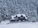 Doyumsuz g�zellik  