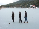 Tehlikeli hareketler