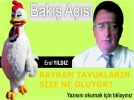 BAYRAM TAVUKLARIN S�ZE NE OLUYOR