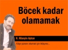 B�cek kadar olamamak